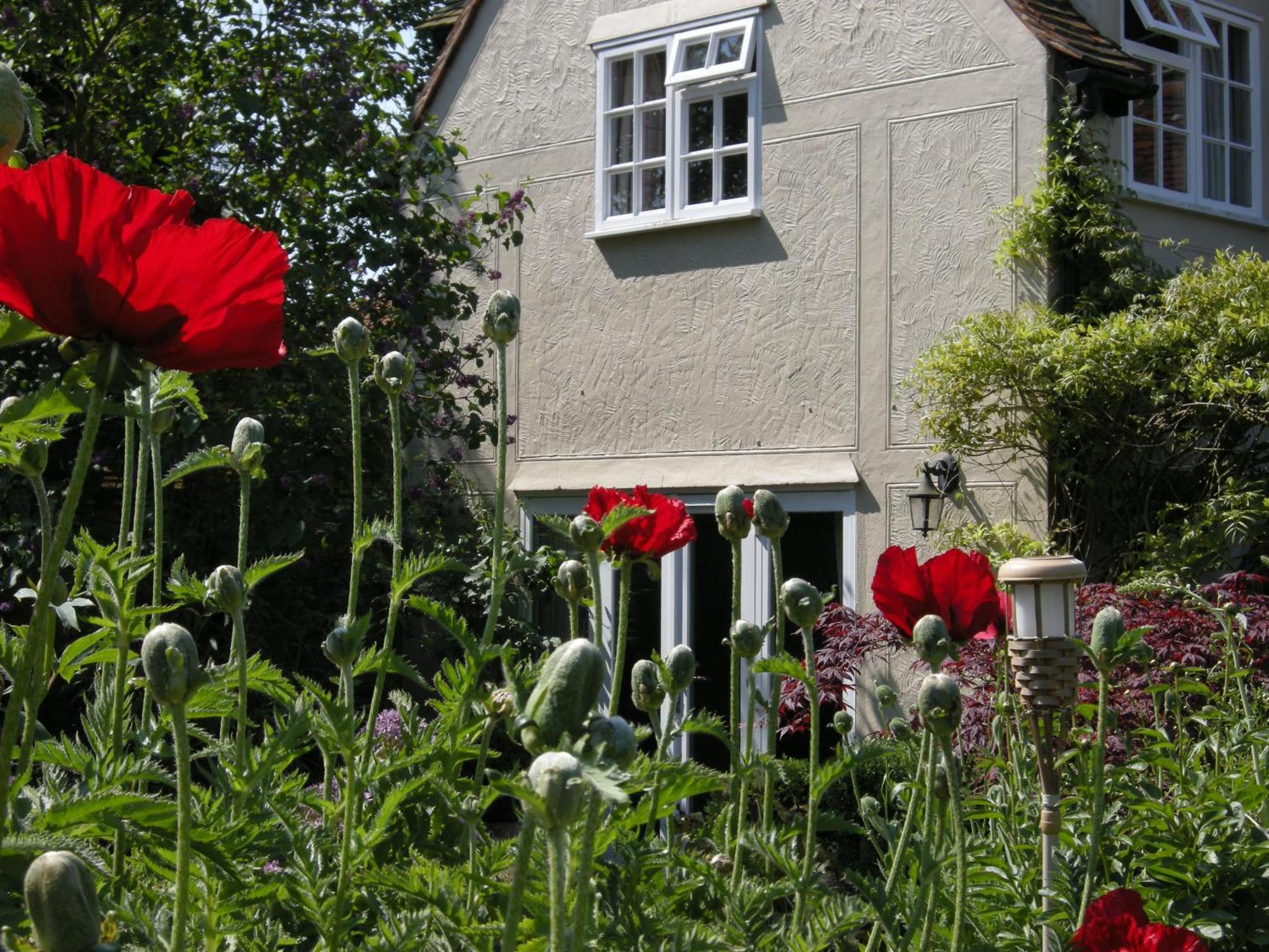 Motts Bed & Breakfast Great Dunmow Kültér fotó