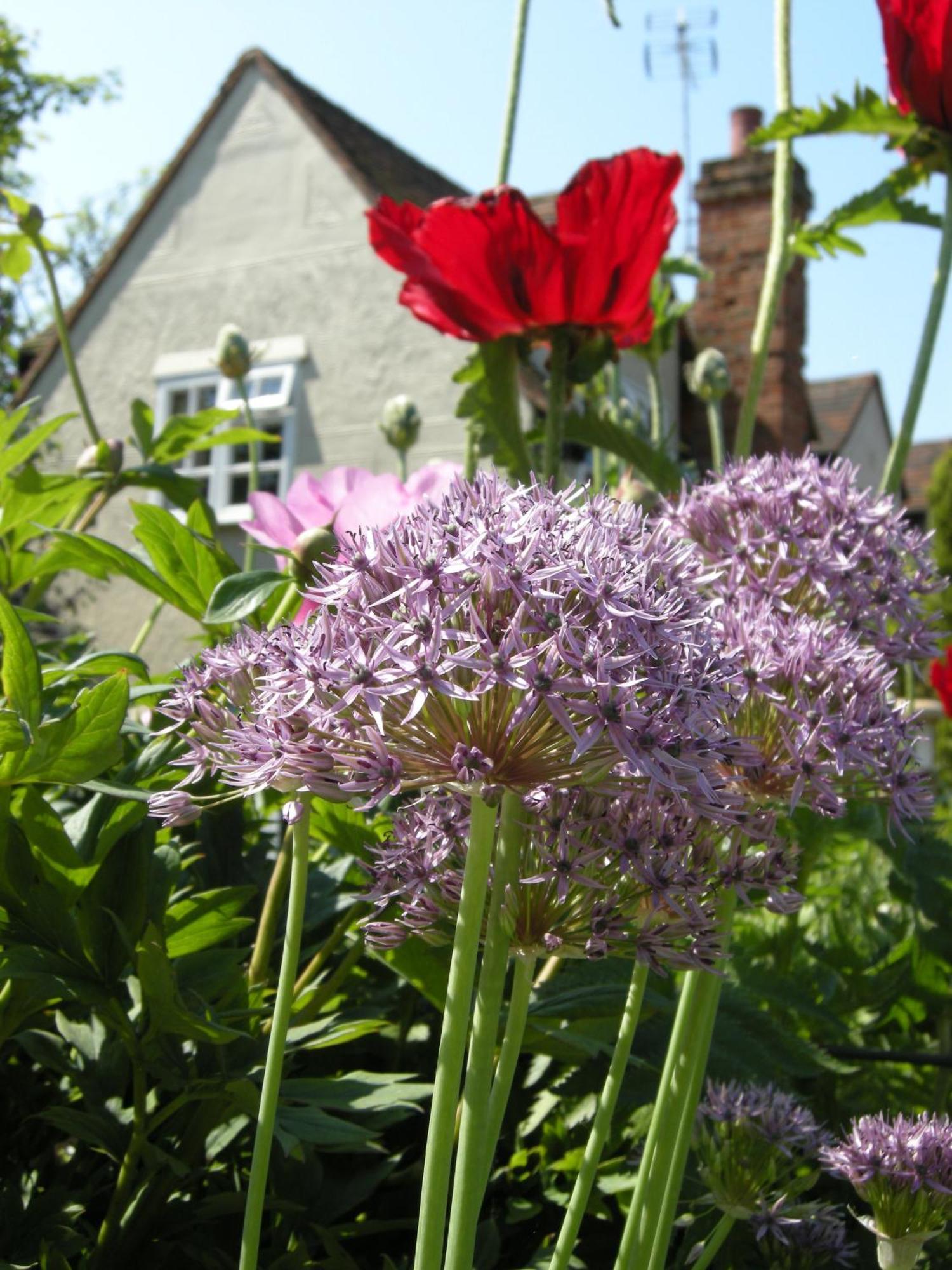 Motts Bed & Breakfast Great Dunmow Kültér fotó